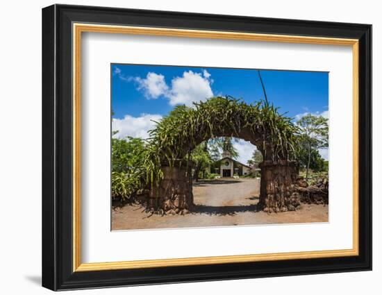 Haleiwa Church in Haleiwa, North Shore Oahu, Hawaii, United States of America, Pacific-Michael-Framed Photographic Print