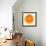 Half a Mandarin Orange-Steven Morris-Framed Photographic Print displayed on a wall