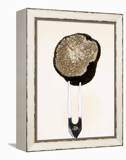 Half a Truffle on a Meat Fork-Marc O^ Finley-Framed Premier Image Canvas