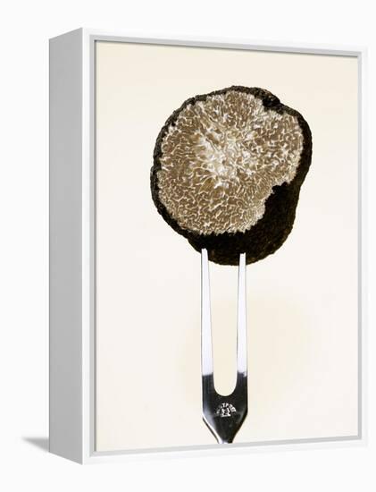 Half a Truffle on a Meat Fork-Marc O^ Finley-Framed Premier Image Canvas