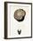 Half a Truffle on a Meat Fork-Marc O^ Finley-Framed Photographic Print