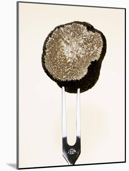 Half a Truffle on a Meat Fork-Marc O^ Finley-Mounted Photographic Print