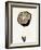 Half a Truffle on a Meat Fork-Marc O^ Finley-Framed Photographic Print