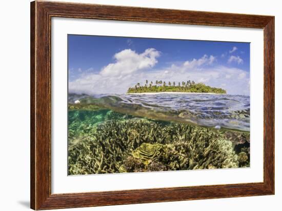 Half Above and Half Below on a Remote Small Islet in the Badas Island Group Off Borneo, Indonesia-Michael Nolan-Framed Photographic Print