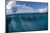 Half above and half below photo of an iceberg off Danco Island, Antarctica, Polar Regions-Michael Nolan-Mounted Photographic Print