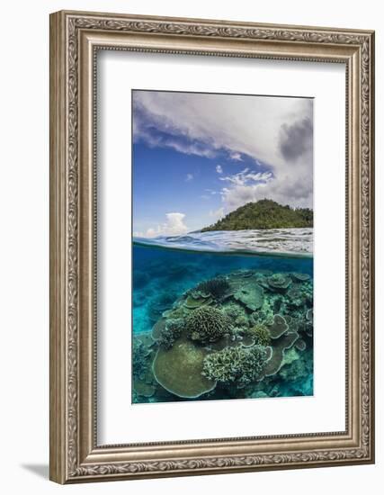 Half Above and Half Below View of Coral Reef at Pulau Setaih Island, Natuna Archipelago, Indonesia-Michael Nolan-Framed Photographic Print