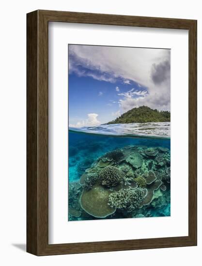 Half Above and Half Below View of Coral Reef at Pulau Setaih Island, Natuna Archipelago, Indonesia-Michael Nolan-Framed Photographic Print