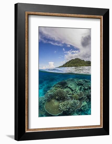 Half Above and Half Below View of Coral Reef at Pulau Setaih Island, Natuna Archipelago, Indonesia-Michael Nolan-Framed Photographic Print