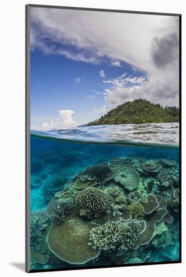 Half Above and Half Below View of Coral Reef at Pulau Setaih Island, Natuna Archipelago, Indonesia-Michael Nolan-Mounted Photographic Print