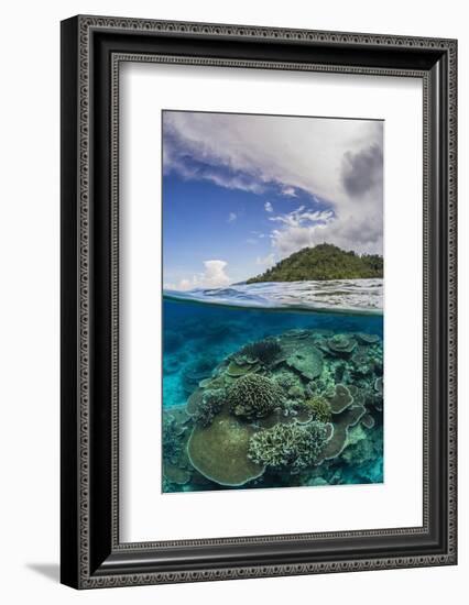 Half Above and Half Below View of Coral Reef at Pulau Setaih Island, Natuna Archipelago, Indonesia-Michael Nolan-Framed Photographic Print