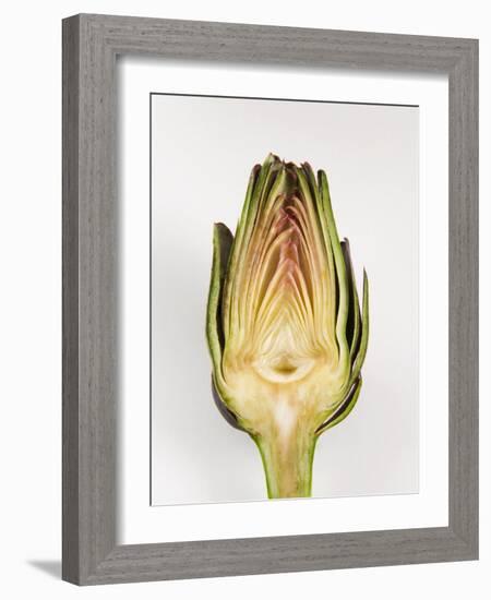 Half Artichoke, Italy, Europe-Nico Tondini-Framed Photographic Print