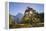 Half Dome and Elm Tree in Cooks Meadow, Yosemite Valley, California, USA. Autumn (October)-Adam Burton-Framed Premier Image Canvas