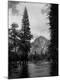 Photographic Print