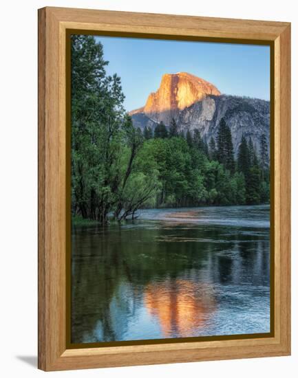 Half Dome Reflected in Merced River, Yosemite Valley, Yosemite National Park, California, USA-null-Framed Premier Image Canvas