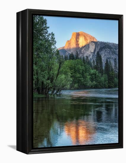 Half Dome Reflected in Merced River, Yosemite Valley, Yosemite National Park, California, USA-null-Framed Premier Image Canvas