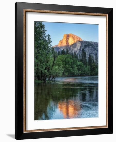 Half Dome Reflected in Merced River, Yosemite Valley, Yosemite National Park, California, USA-null-Framed Photographic Print