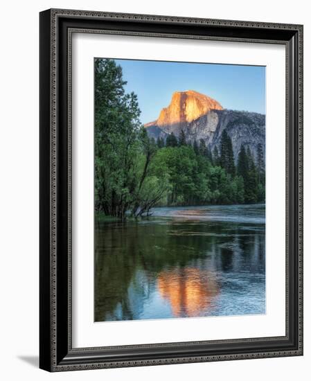 Half Dome Reflected in Merced River, Yosemite Valley, Yosemite National Park, California, USA-null-Framed Photographic Print