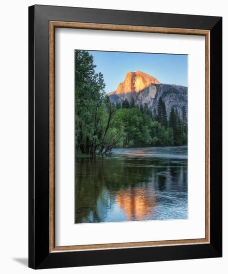 Half Dome Reflected in Merced River, Yosemite Valley, Yosemite National Park, California, USA-null-Framed Premium Photographic Print