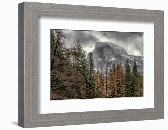 Half Dome View from Sentinel Bridge in Winter. Yosemite National Park, California.-Tom Norring-Framed Photographic Print