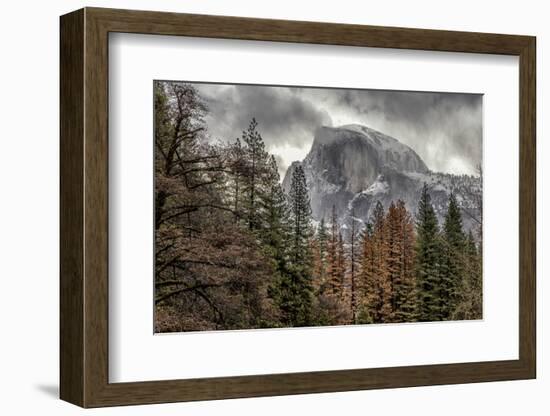 Half Dome View from Sentinel Bridge in Winter. Yosemite National Park, California.-Tom Norring-Framed Photographic Print