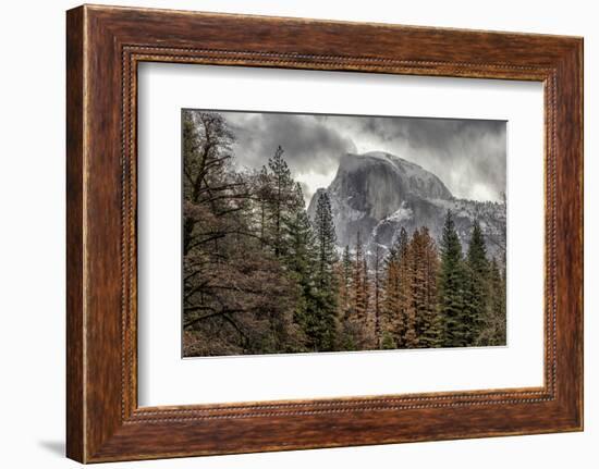 Half Dome View from Sentinel Bridge in Winter. Yosemite National Park, California.-Tom Norring-Framed Photographic Print