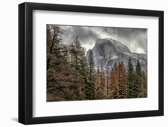 Half Dome View from Sentinel Bridge in Winter. Yosemite National Park, California.-Tom Norring-Framed Photographic Print