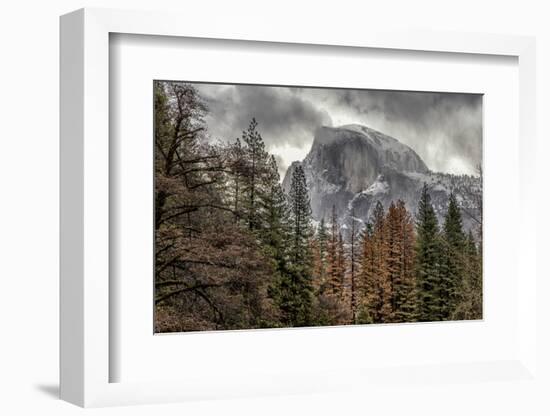 Half Dome View from Sentinel Bridge in Winter. Yosemite National Park, California.-Tom Norring-Framed Photographic Print