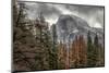 Half Dome View from Sentinel Bridge in Winter. Yosemite National Park, California.-Tom Norring-Mounted Photographic Print