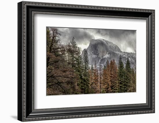 Half Dome View from Sentinel Bridge in Winter. Yosemite National Park, California.-Tom Norring-Framed Photographic Print