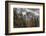 Half Dome View from Sentinel Bridge in Winter. Yosemite National Park, California.-Tom Norring-Framed Photographic Print