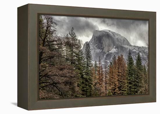 Half Dome View from Sentinel Bridge in Winter. Yosemite National Park, California.-Tom Norring-Framed Premier Image Canvas