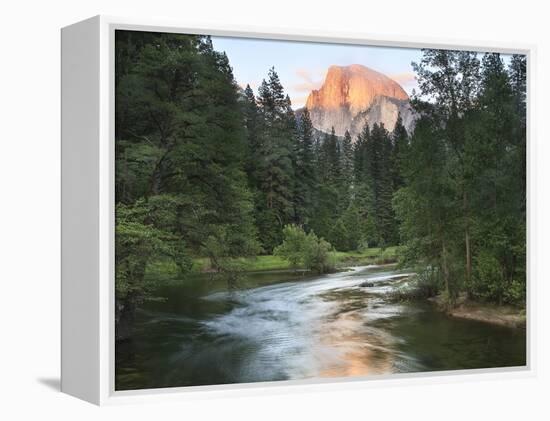 Half Dome with Sunset over Merced River, Yosemite, California, USA-Tom Norring-Framed Premier Image Canvas