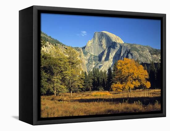 Half Dome, Yosemite Np, California, USA-Gavin Hellier-Framed Premier Image Canvas