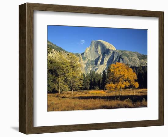 Half Dome, Yosemite Np, California, USA-Gavin Hellier-Framed Photographic Print