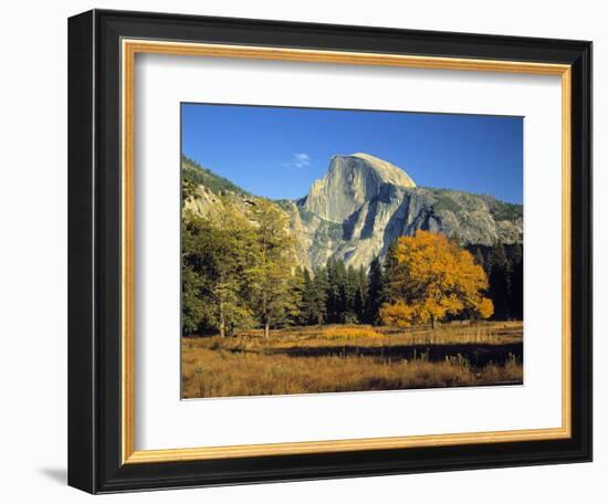 Half Dome, Yosemite Np, California, USA-Gavin Hellier-Framed Photographic Print