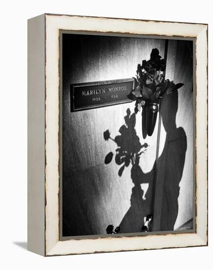 Half Dozen Red French Roses Ordered For Marilyn Monroe's Tomb Tri-weekly by Joe DiMaggio-John Loengard-Framed Premier Image Canvas