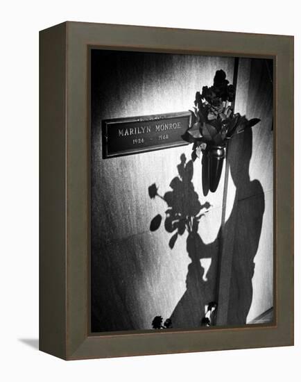 Half Dozen Red French Roses Ordered For Marilyn Monroe's Tomb Tri-weekly by Joe DiMaggio-John Loengard-Framed Premier Image Canvas