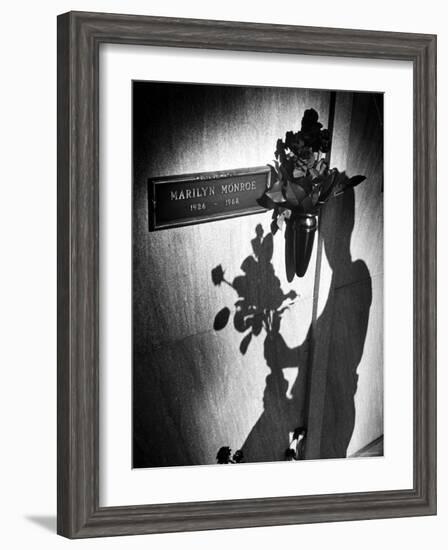 Half Dozen Red French Roses Ordered For Marilyn Monroe's Tomb Tri-weekly by Joe DiMaggio-John Loengard-Framed Photographic Print