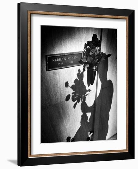 Half Dozen Red French Roses Ordered For Marilyn Monroe's Tomb Tri-weekly by Joe DiMaggio-John Loengard-Framed Photographic Print