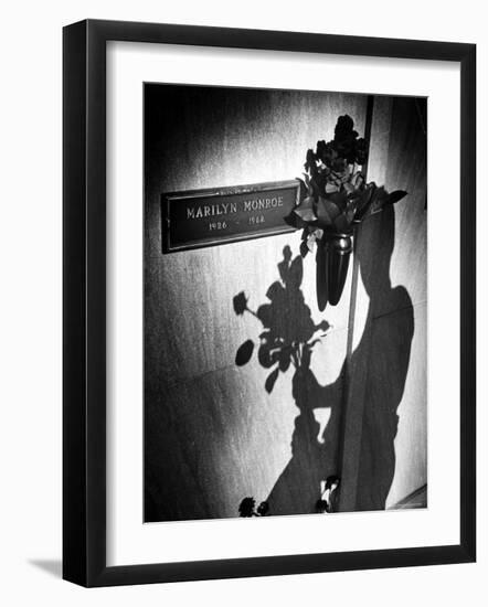 Half Dozen Red French Roses Ordered For Marilyn Monroe's Tomb Tri-weekly by Joe DiMaggio-John Loengard-Framed Photographic Print