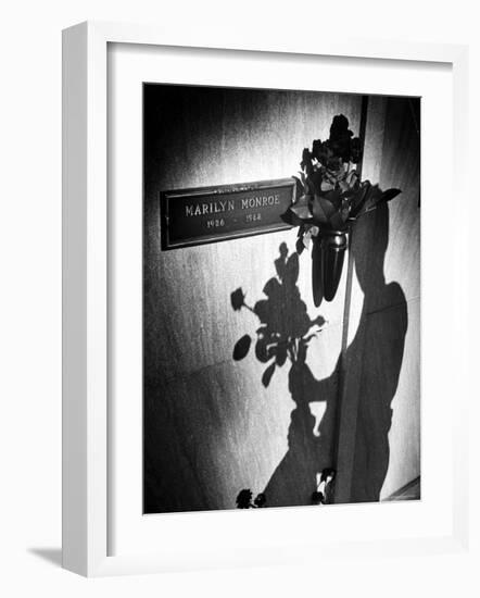 Half Dozen Red French Roses Ordered For Marilyn Monroe's Tomb Tri-weekly by Joe DiMaggio-John Loengard-Framed Photographic Print