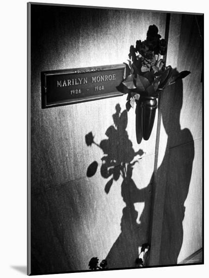 Half Dozen Red French Roses Ordered For Marilyn Monroe's Tomb Tri-weekly by Joe DiMaggio-John Loengard-Mounted Photographic Print