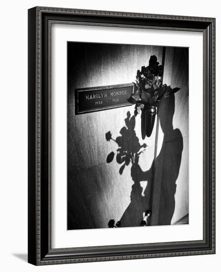 Half Dozen Red French Roses Ordered For Marilyn Monroe's Tomb Tri-weekly by Joe DiMaggio-John Loengard-Framed Photographic Print