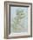 Half-Length Figure of an Apostle by Leonardo Da Vinci-Leonardo Da Vinci-Framed Giclee Print