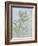 Half-Length Figure of an Apostle by Leonardo Da Vinci-Leonardo Da Vinci-Framed Giclee Print