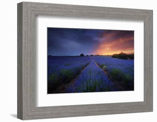 Half life.-Juan Pablo de-Framed Photographic Print