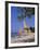 Half Moon Club Beach, Montego Bay, Jamaica, Caribbean, West Indies-Robert Harding-Framed Photographic Print