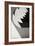 Half Moon Fractals-Dana Styber-Framed Photographic Print