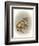 Half Pint-Peggy Harris-Framed Giclee Print