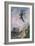 Half-Pipe-David McConochie-Framed Giclee Print